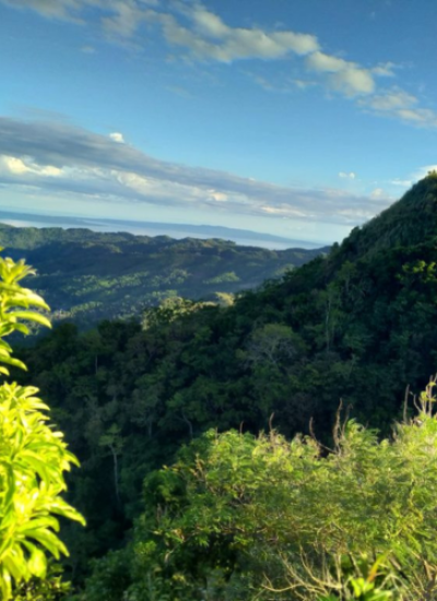 Alto-Peak